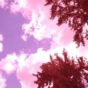 IR Converted Canon EOS 5D Mark II Camera